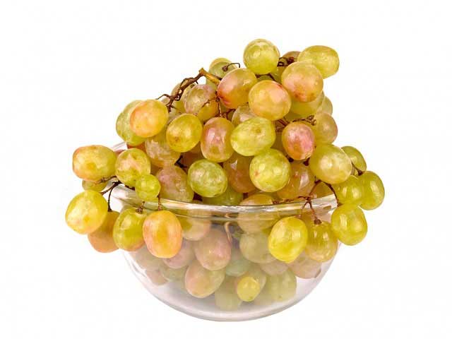 Fattoria Valdrighi, il buon vino a Montecarlo di Lucca