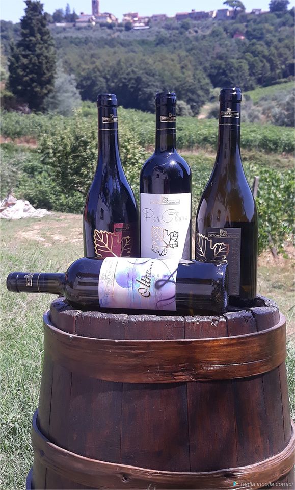 Degustazione in vigna alla Fattoria Valdrighi